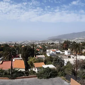 Dos Palmas El Paso
